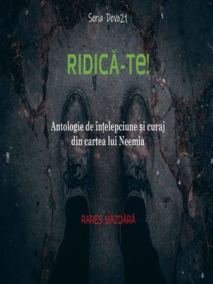 cover image of RIDICA-TE!